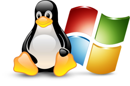 Windows vs. Linux web hosting